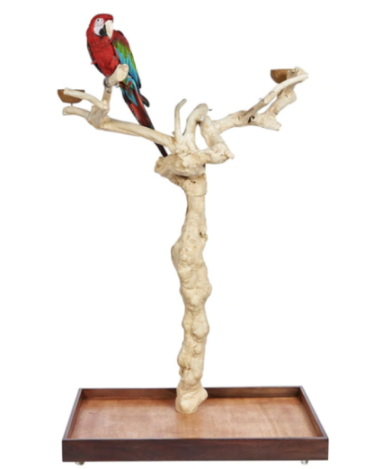 Java Wood II Tree - Large - Natural Hardwood Parrot Playstand